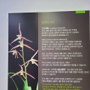 제주한란전시관 이미지