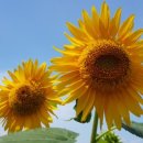 일심하우스 이미지