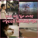 유류피해극복기념관 | 태안 겨울 실내 아이랑 가볼만한곳 유류피해극복기념관