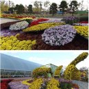 순천만 346 B 이미지