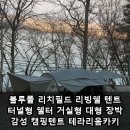 리치필드 | 블루폴 리치필드 리빙쉘 텐트 터널형 쉘터 거실형...감성 캠핑텐트 테라리움카키 생각보다 더 좋았던 후기