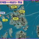 비금도횟집 - 안산시 상록구 본오로 26 | 비금도횟집
