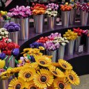 콜PC | 성수 2월 팝업 레고 코리아, 온그리디언츠, 러쉬 비 마이 커튼콜 평일 방문 후기