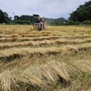 행복이농장 이미지