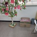 하탑중학교 이미지