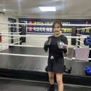 한샘프로복싱체육관 이미지
