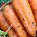 은하수별빛 이미지