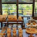 허브나무 이미지