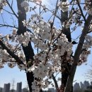 인천광역시 인천아시아드주경기장 연희크리켓경기장 이미지