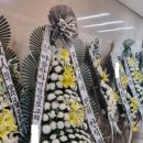 금성장례식장 이미지