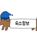 하이까미 네이버블로그