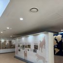 진도개패밀리 이미지