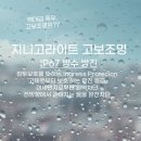 억지춘양주민문화교육센터 | 천안시 청당동 생명존중을 위한 캠페인 지니고라이트 고보조명 프로젝트