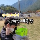 언덕위힐링목장