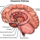 옥야고등학교 이미지