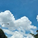 하나한의원 | 서울 잠실 문정역 다이어트 한의원 후기