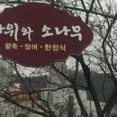 바위와소나무 이미지