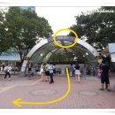 남대문할매왕족발 이미지