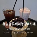 전원농장 | (청주) 오창 카페 추천｜유송블루베리농장 후기｜자연 속 블루베리 디저트 힐링타임