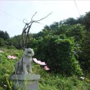 송이민박 이미지