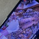 와 줌님들 지금 <b>ns홈쇼핑</b>에서 마른오징어 20...