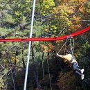 둥지휴양림 이미지