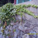 (유)파란하늘 이미지