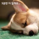 폼짐 네이버블로그