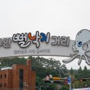 낙지힘낙지 이미지