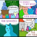 헤이데이 크로스핏 이미지