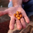 서울온(ON)농부들 이미지