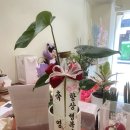 쌍문2동 주민센터 이미지