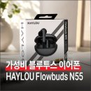가성비 블루투스 이어폰 HAYLOU Flowbuds N55 2주간 사용해본 후기