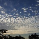 소희꽃농원 이미지