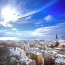 하얀낭만 이미지