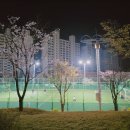 모전공원(풋살장) 네이버블로그