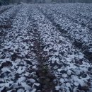 김재호 농장 이미지