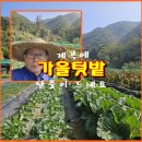 (텃밭/231030) 메주콩작목에 주의할점 메모 이미지