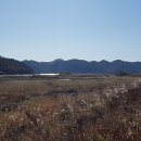 강변길 북천 이미지