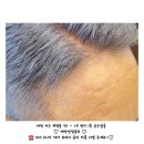 승구살롱 이미지