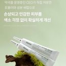 디에스케어 이미지