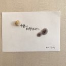 강연욱사진관 | 엄마, 한달살기 또 가요 #4 고맙수다, 제주 - 애월, 포틀랜드, 또다시 아프리카를 준비하는 한달살기