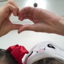 미화당 Daum카페