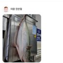 미윤 이미지