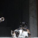 북아현로11길 이미지