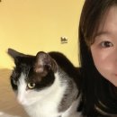 후르츠바스캣 네이버블로그