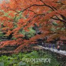백양장식