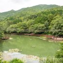 구덕야영장 이미지