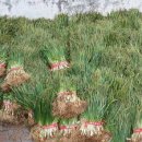 노은동경로당 이미지