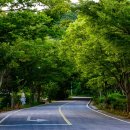 교룡산 족구장 이미지